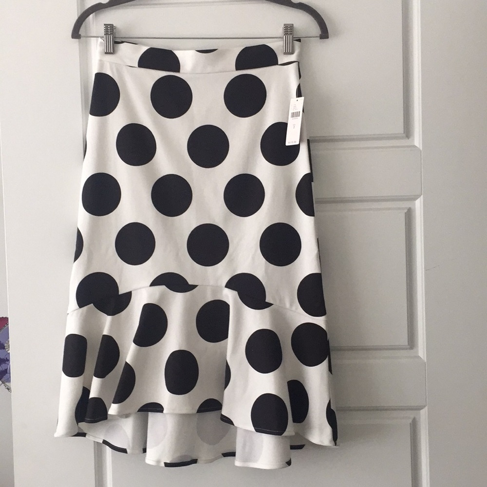 Anthropologie Polka Dot Skirt